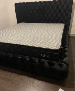 NEW IN BOX Black Platform Bed Frame Queen and King Size