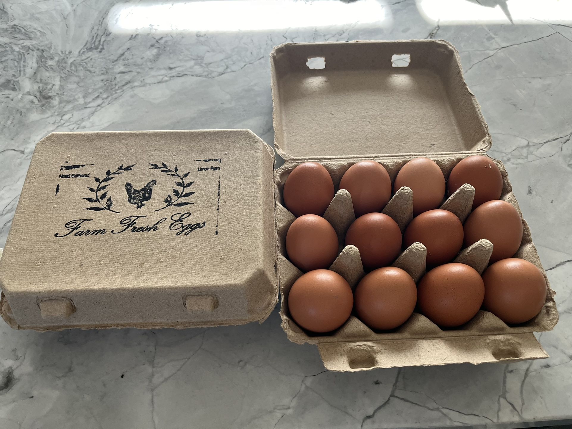 Organic Eggs