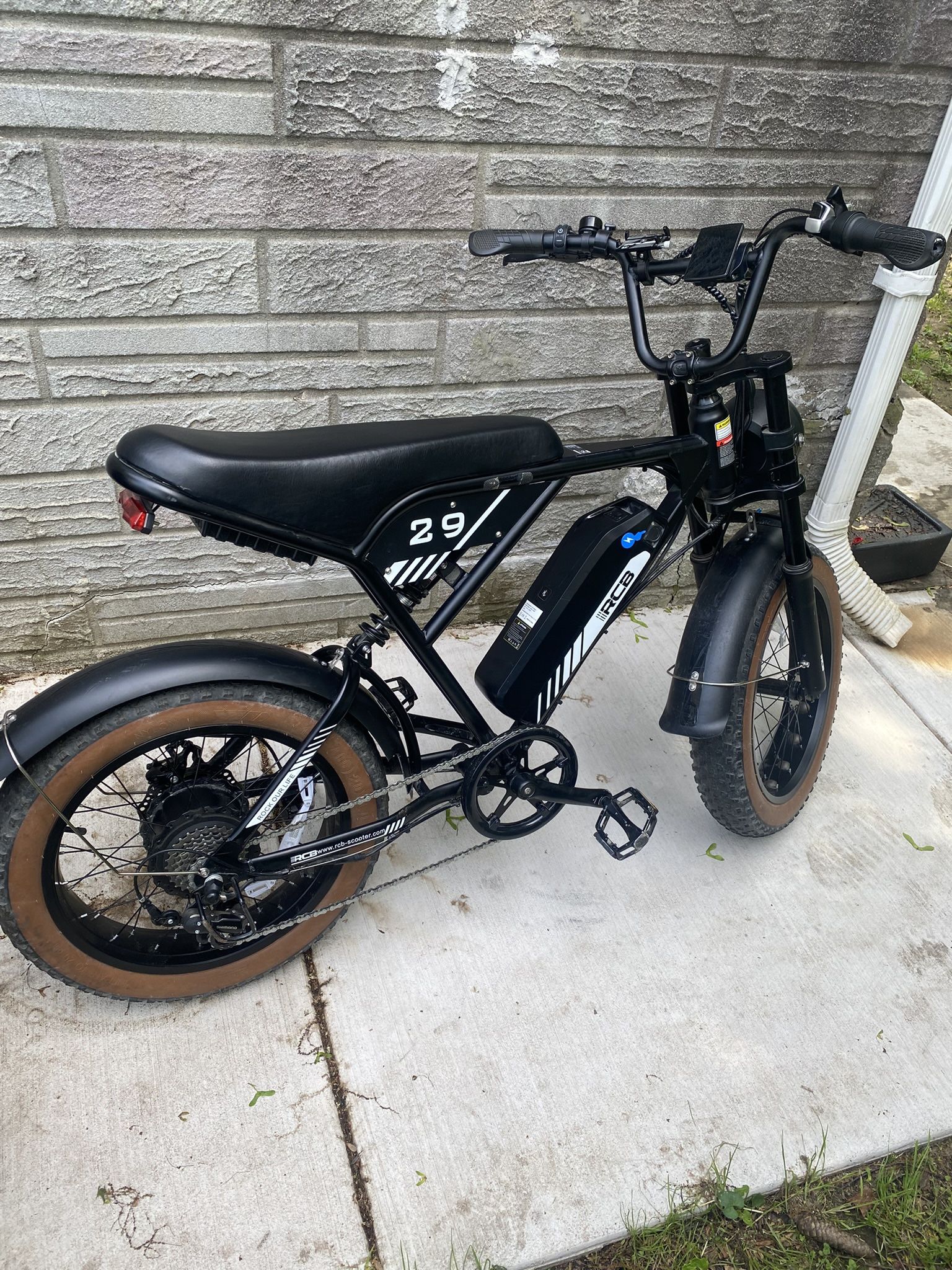 RCB RK29 Electric Bike for Adults(RCB E BIKE)