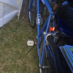 Adult Bicycle