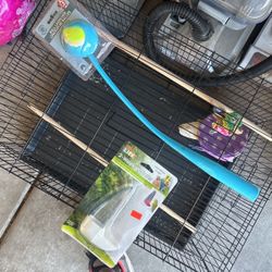 Dog Toy 