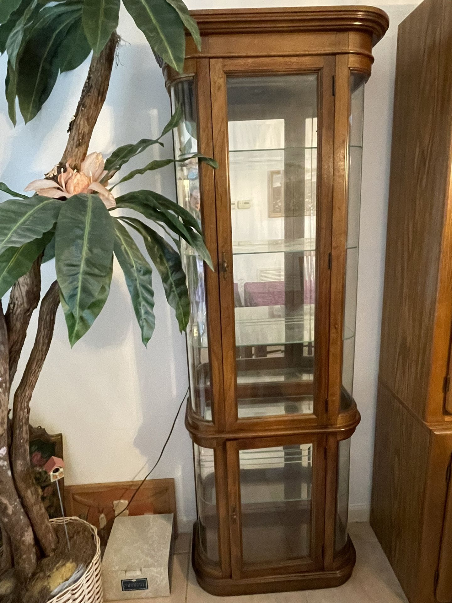 Vintage Curio Cabinet