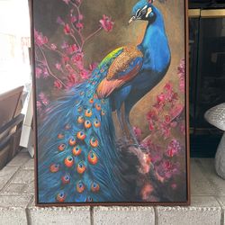 Peacock Wall Picture
