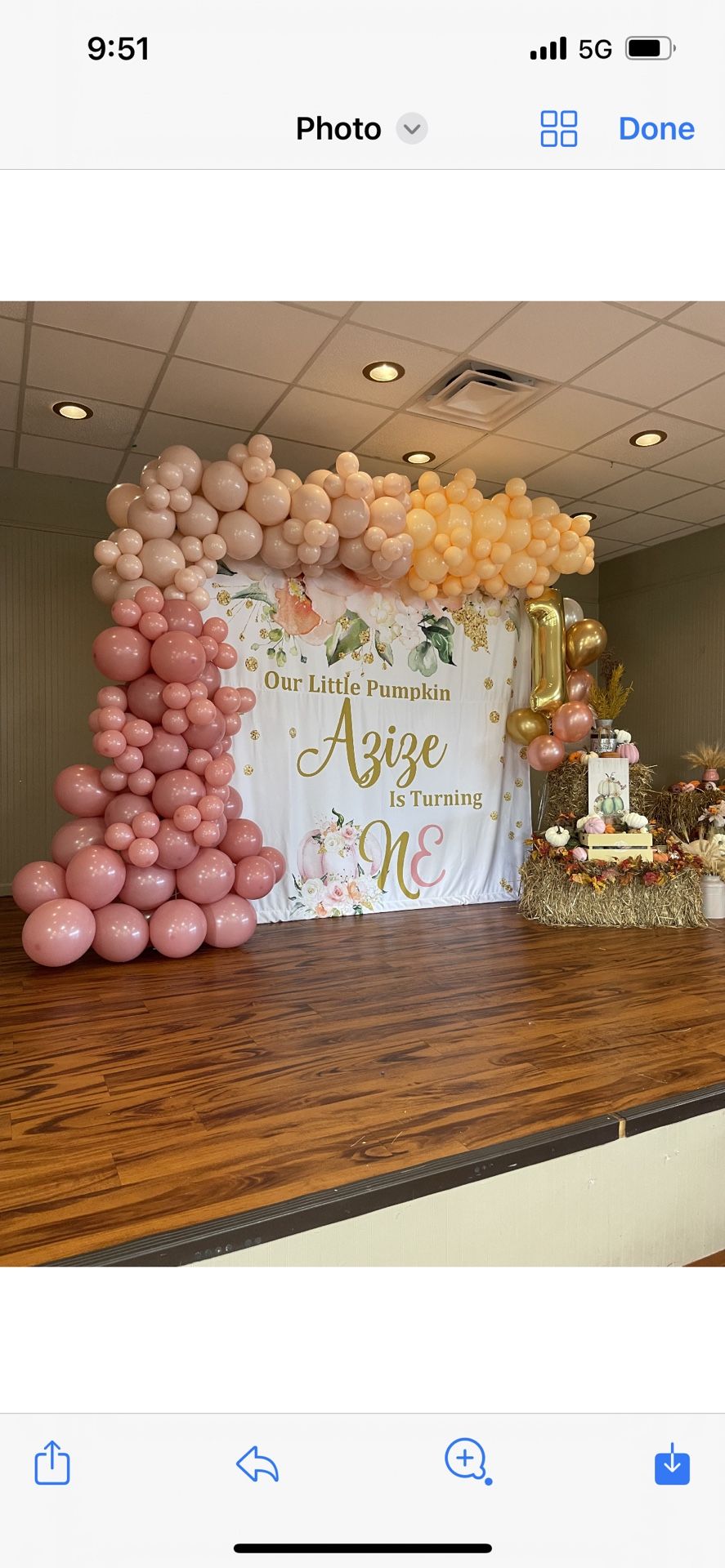 Ballon Arch & Decor