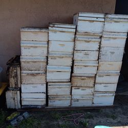 Bee Hive  Boxes