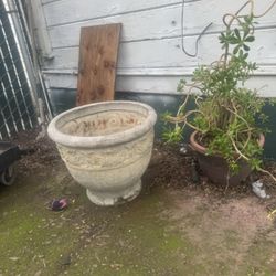 Large flower pot $10