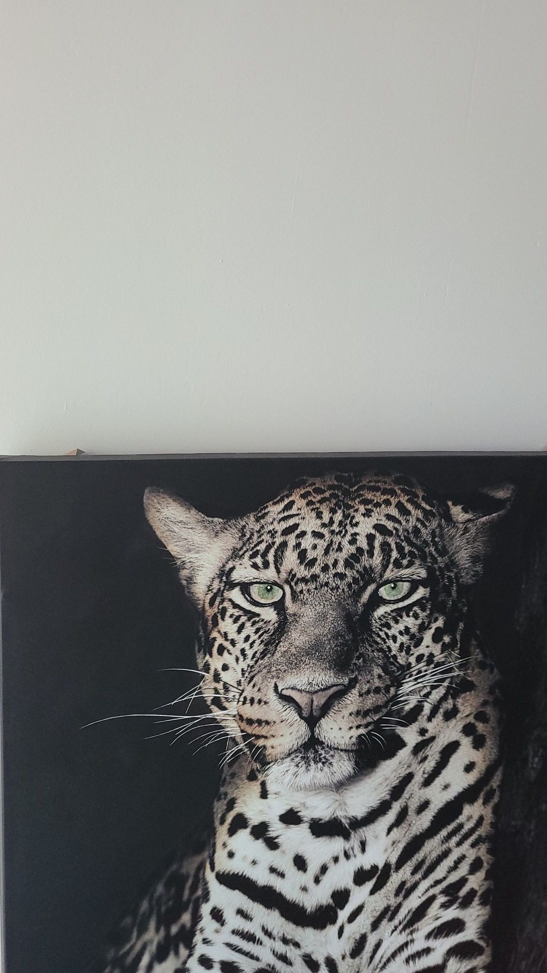 Leopard Picture frame Electronics & Media