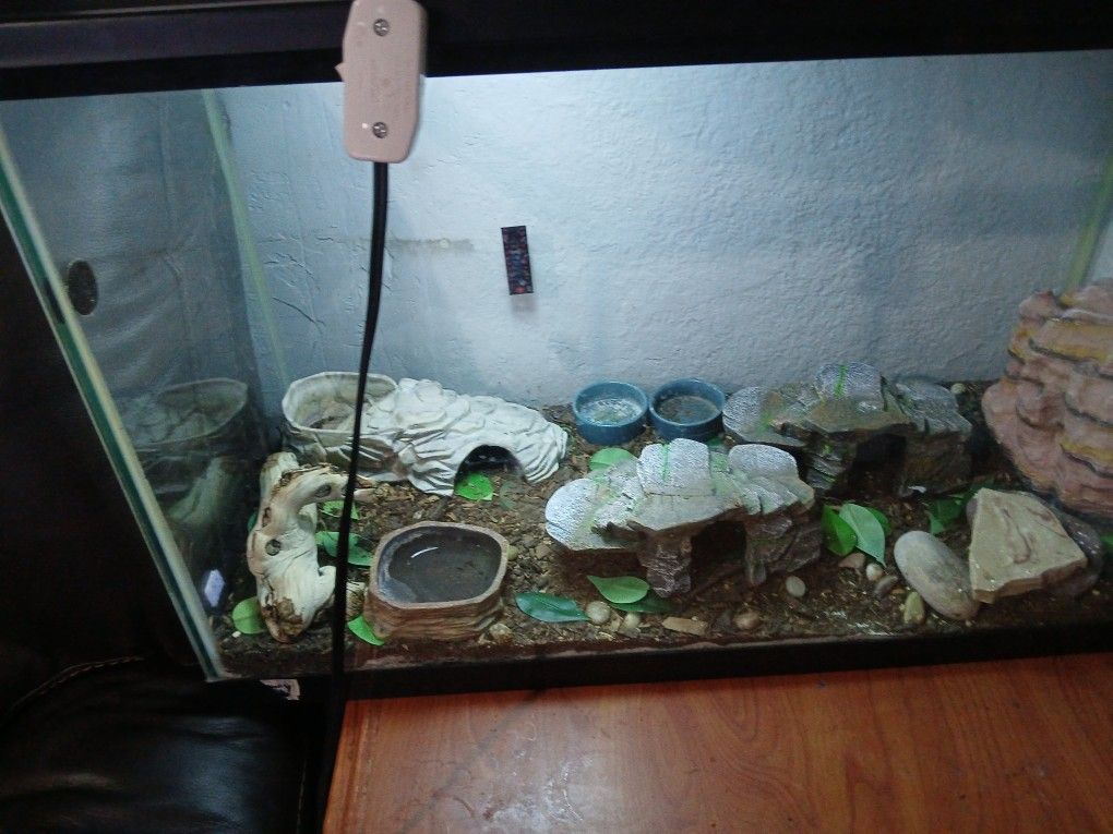 Tank