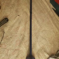 Walking Cane