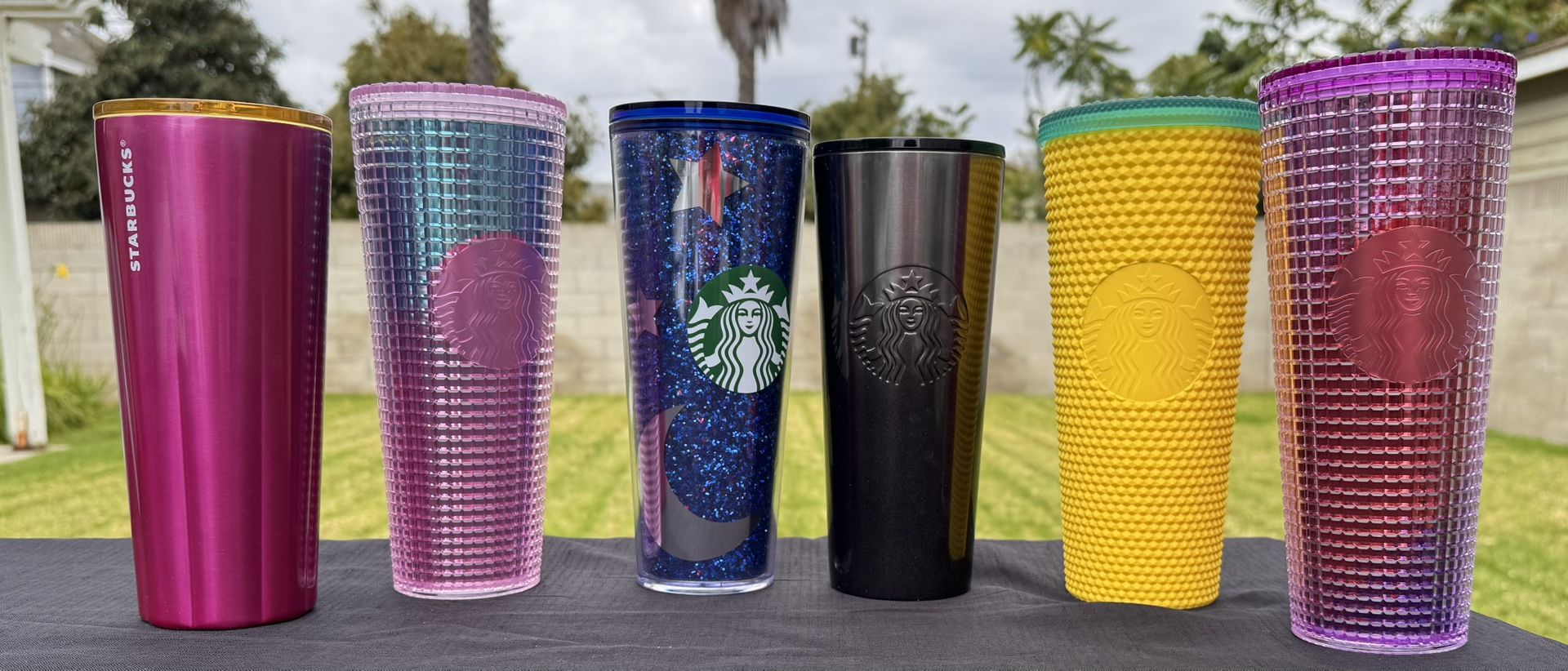 Starbucks Cups