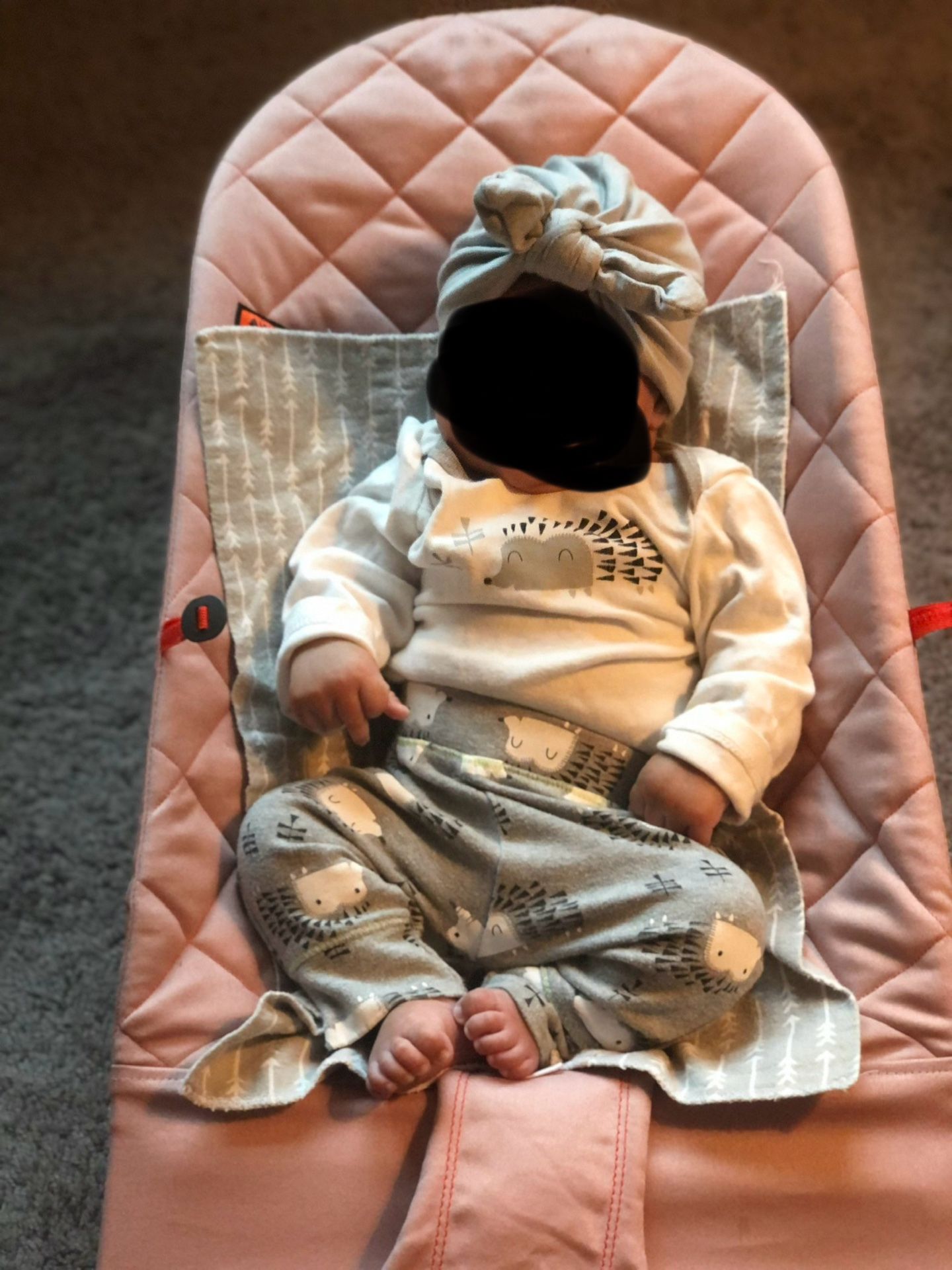 Baby Bjorn Bouncer Pink