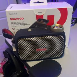 Positive Grid Spark Go