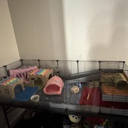 Guinea Pig Cage - Kavee 5x2 C&C Cage With Loft