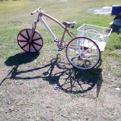 Tricycle Jaguar Bike 