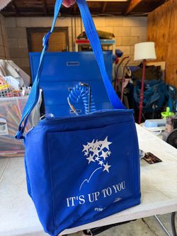 Blue Insulated Lunch Cooler Bag
