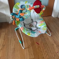 Baby Bouncer