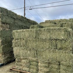 HAY BALES