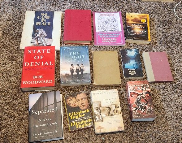 Lot Of 14 Random Books