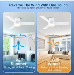 Putroad 42 inch Ceiling fan with light