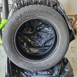 2 almost new 17 " all season tires