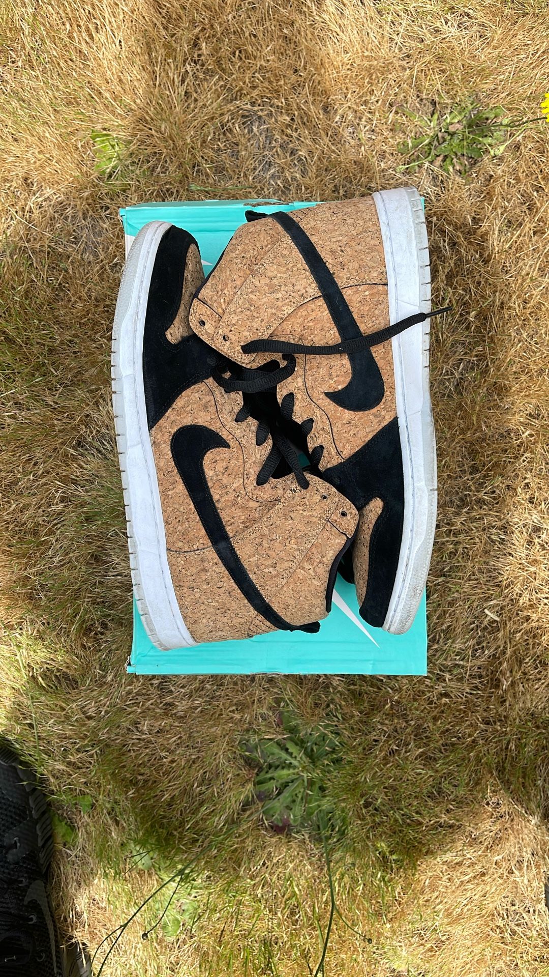 Nike Dunks Size 13