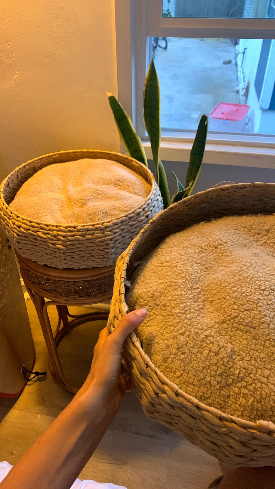 Cat Bed/ Basket