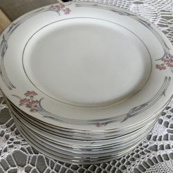 Dinner & Salad Plates