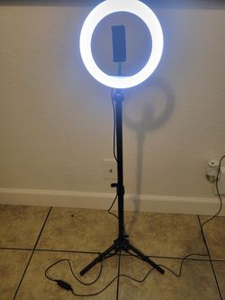8" LED ring light