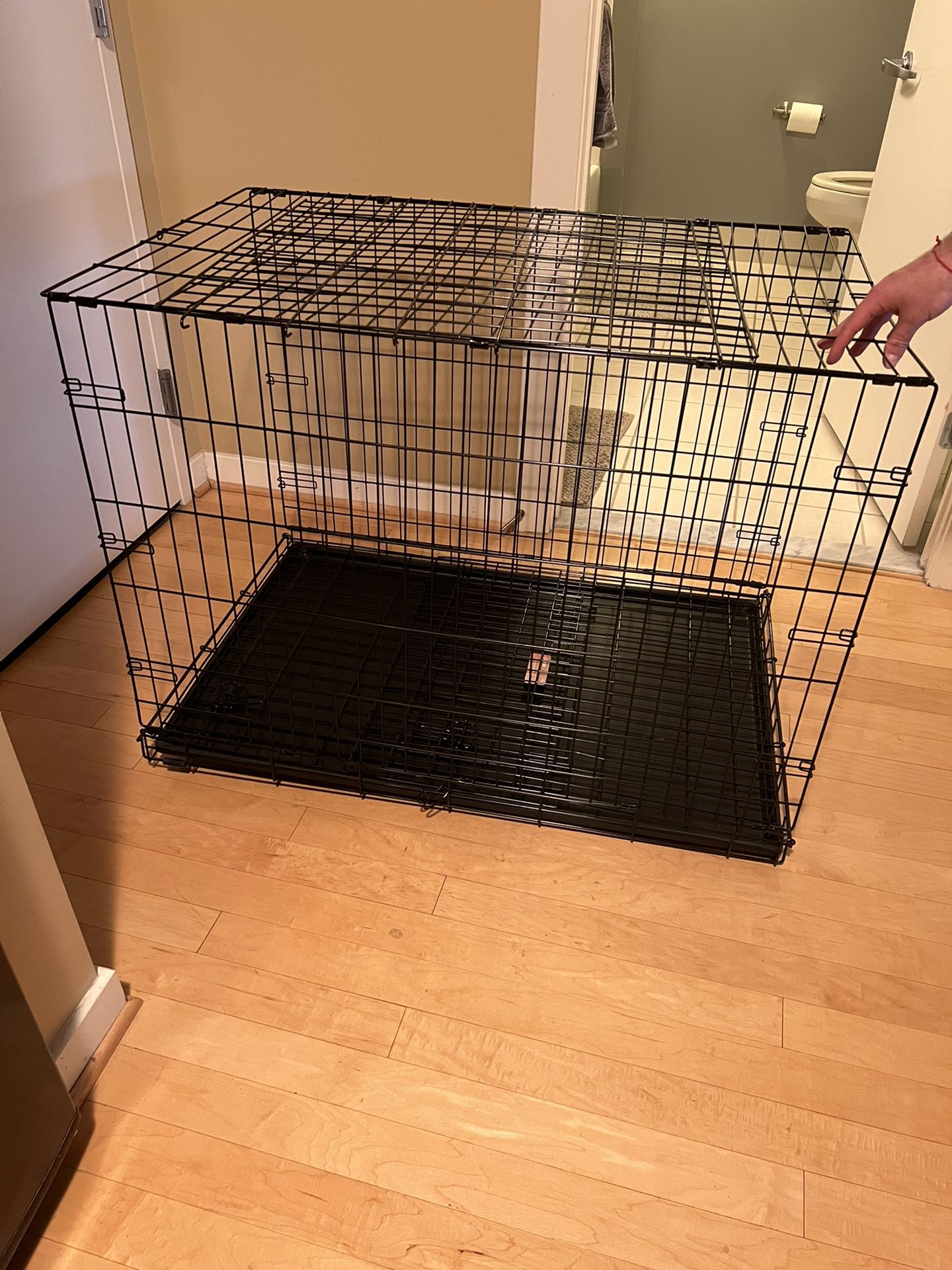 Large, Collapsible Dog Crate 