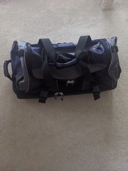 Ricardo Beverly hills duffel bag backpack on wheels