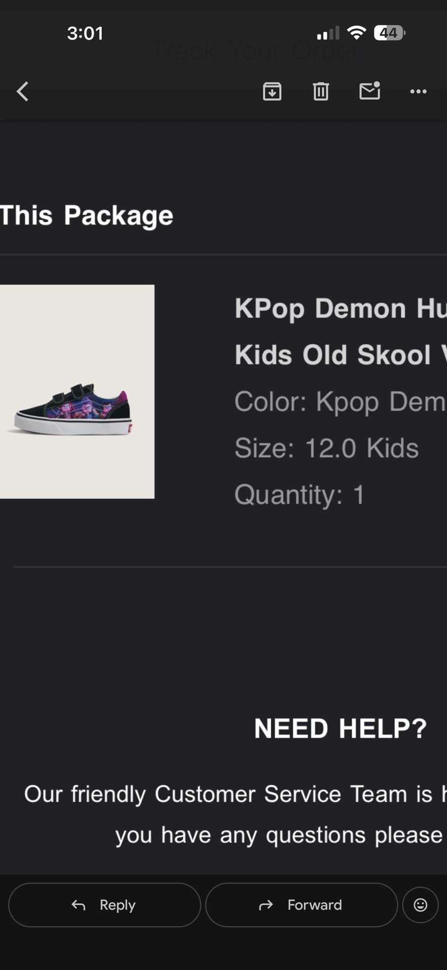 Kpop Demon Hunters Vans Shoes