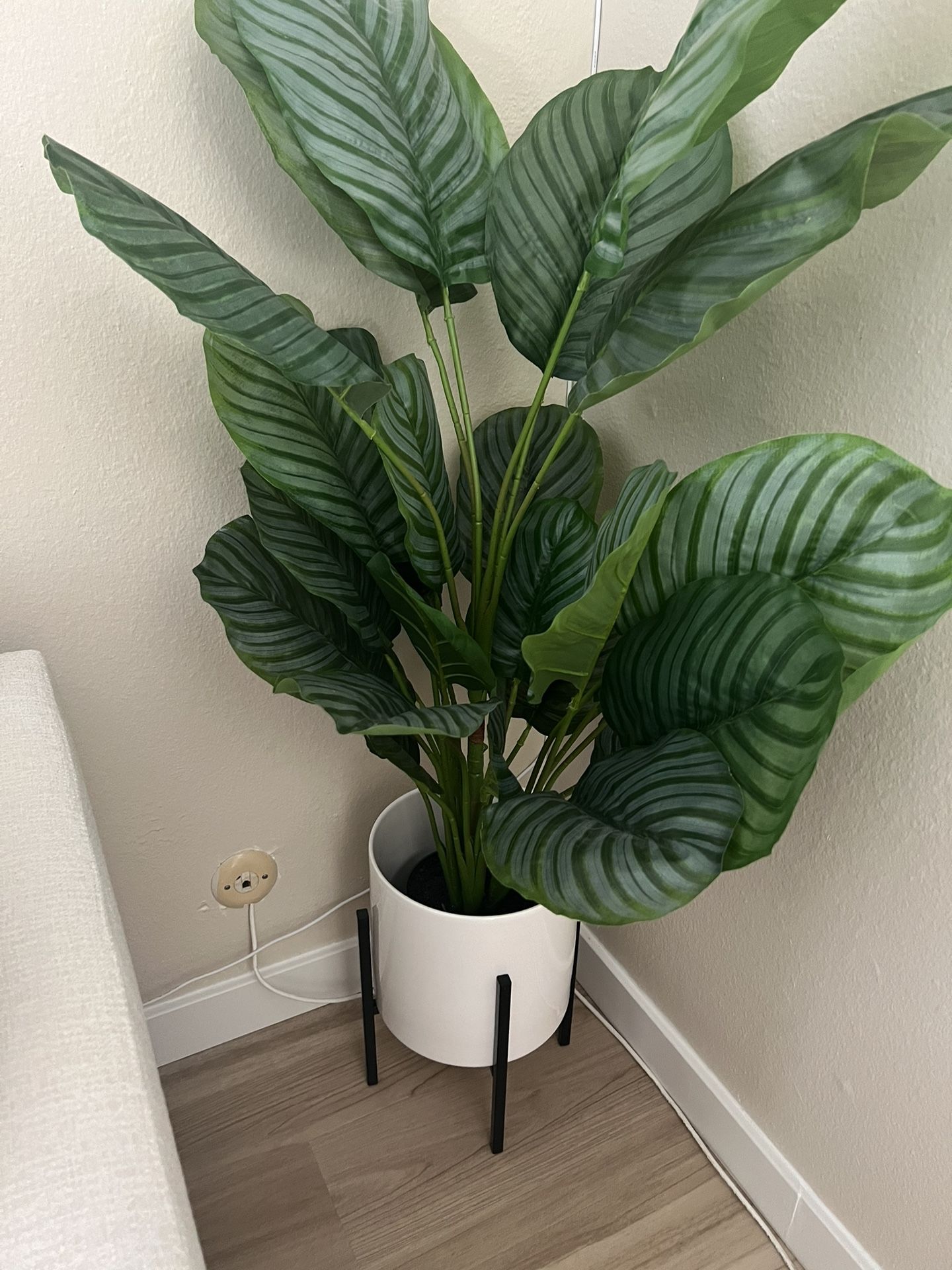 Plant With Stand Price Is Firm!