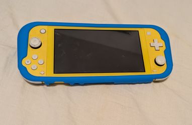 Nintendo switch lite with case
