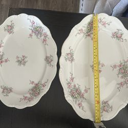 85 piece Antique Johan Haviland Bavaria Germany Chinaware Set