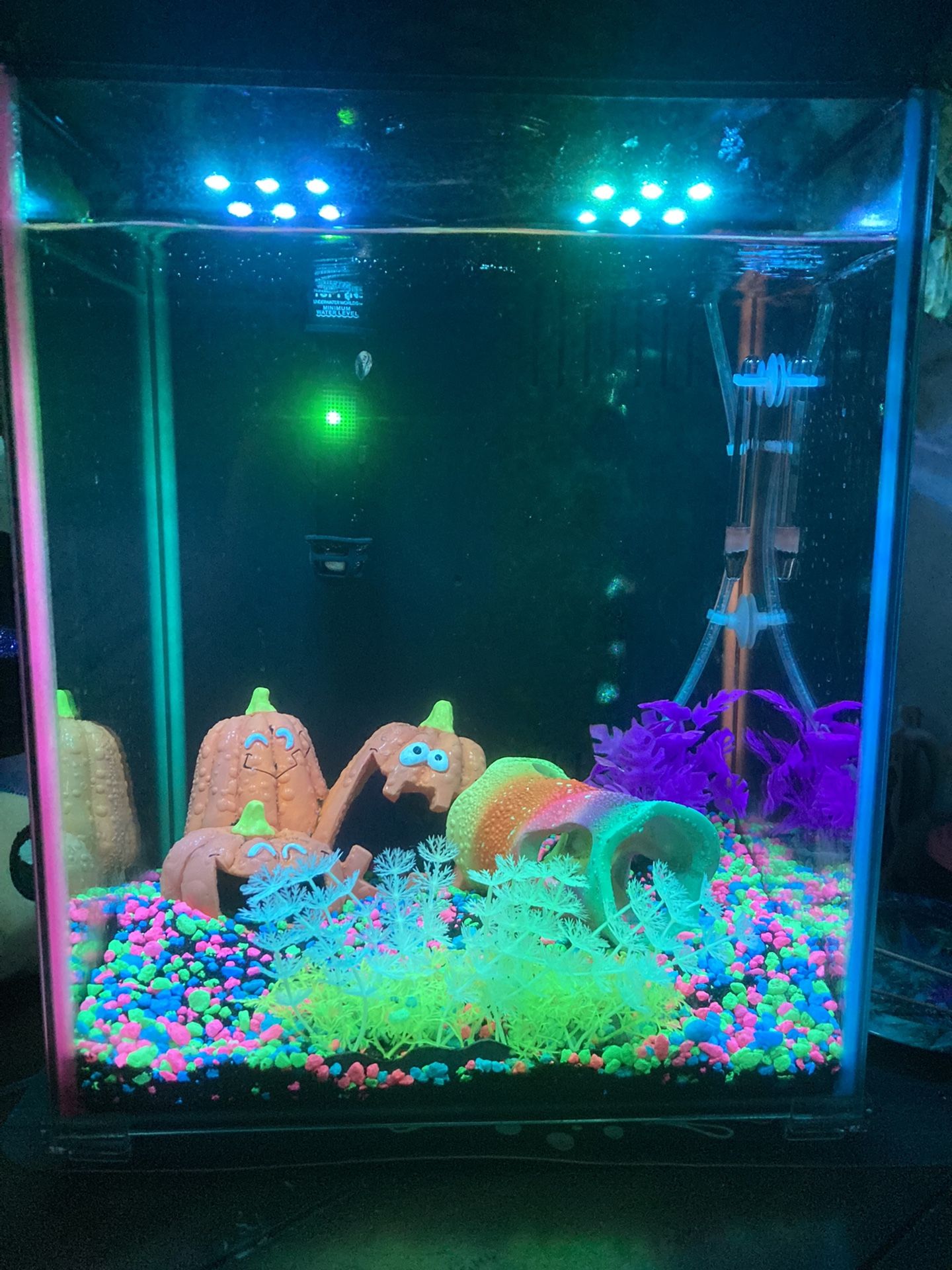 8 Gallon 7 Color Changing LED Fish Tank 