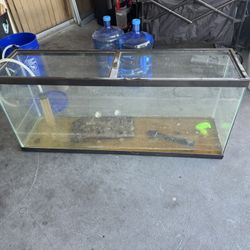 Big Aquarium Bought For 300 Dollars 