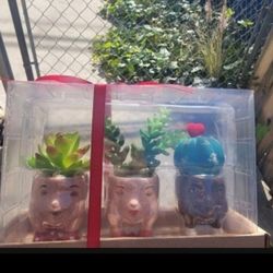New Artificial Plants