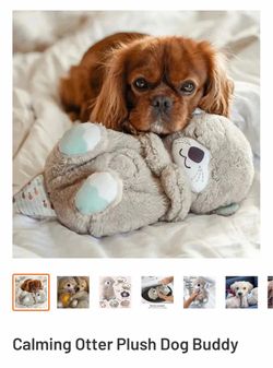 New - Calming Otter Plush Dog Buddy