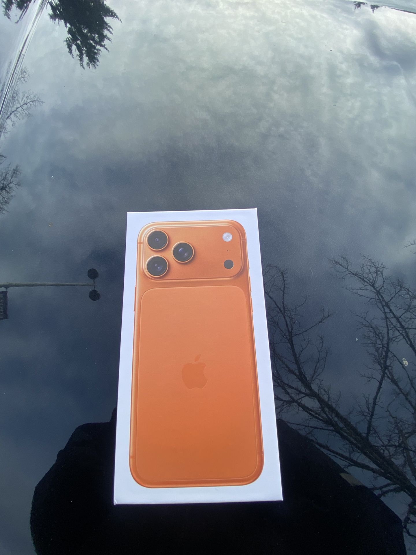 iPhone 17 Pro Max Sealed