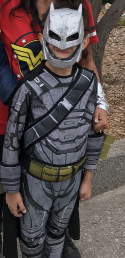 Batman and Robin Halloween costume