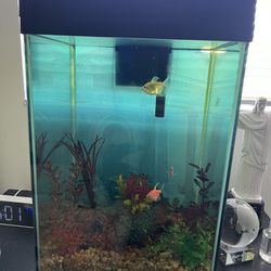 Fish Tank- 10G For Free