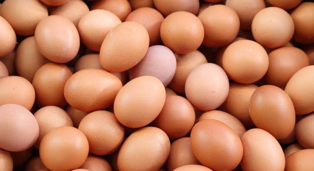 Eggs