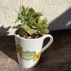 Sunflower Coffee Mug With A Succulent Plant .
