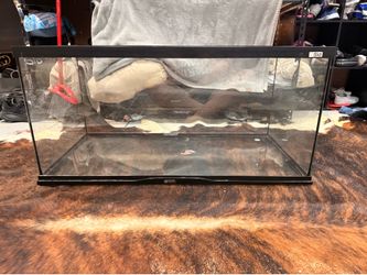 40 gallon tank