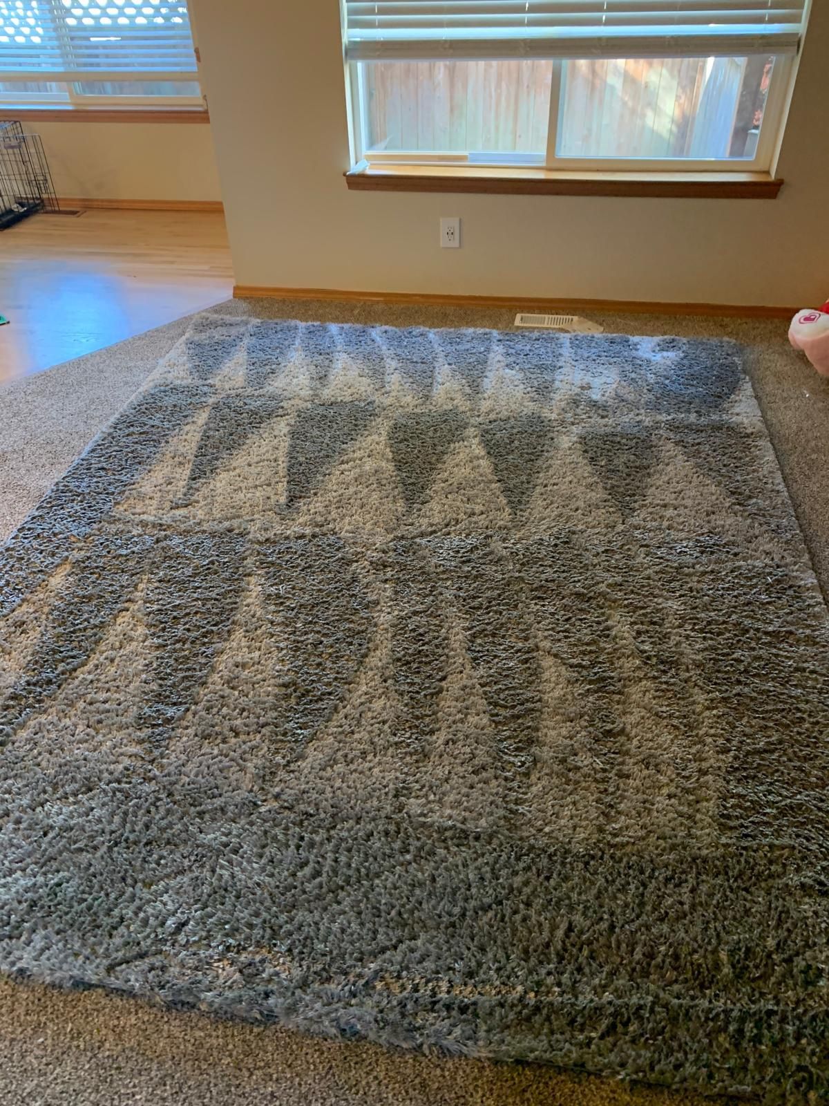 Grey Shag Rug
