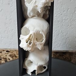 Skulls Book Nook 