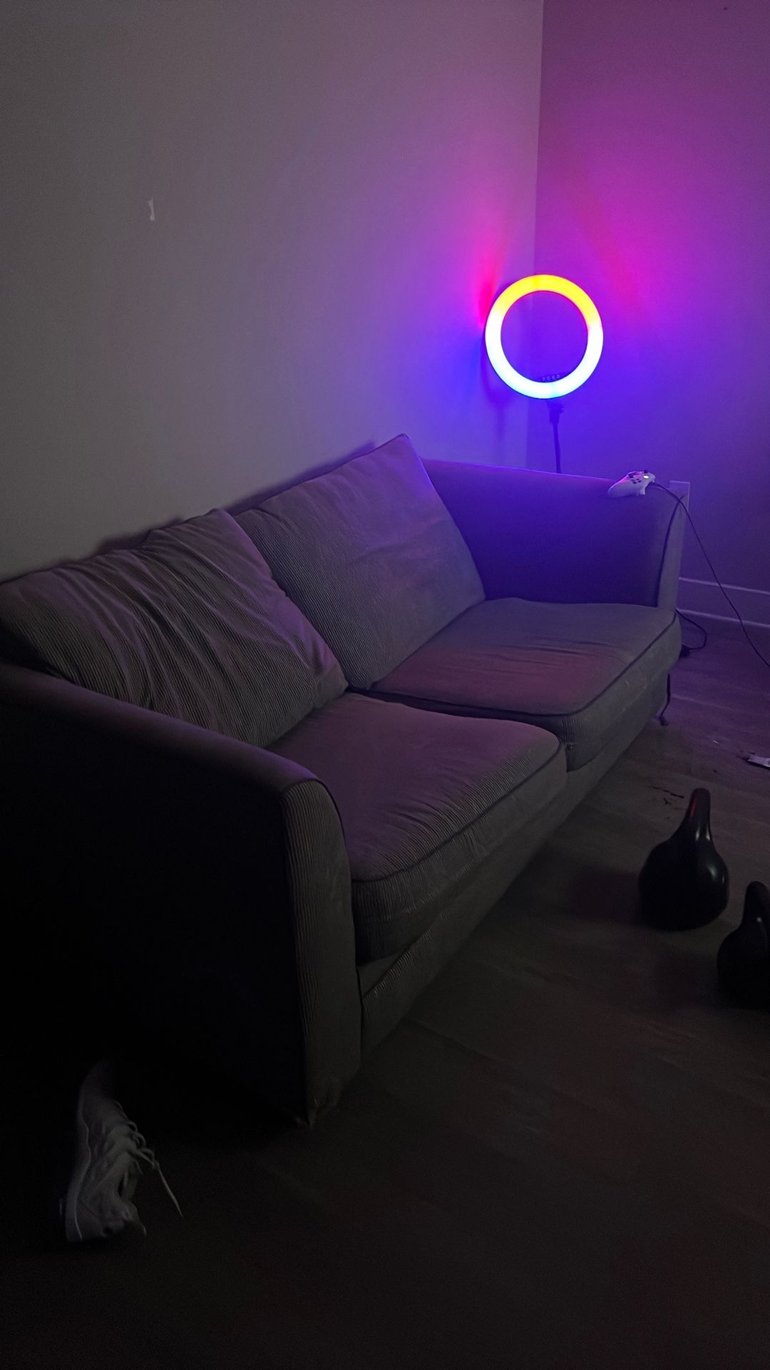 Free Couch With Pullout  Bed 