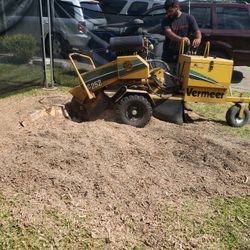Stump Grinding 