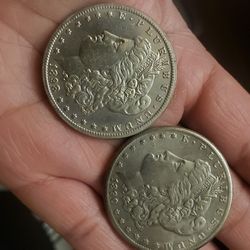 2  Morgan Dollar  Copy  