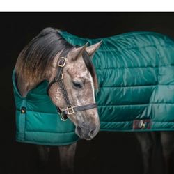 Green Horse Cover